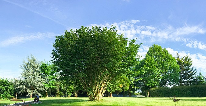 clos-l-abbe-parc-economie-energie